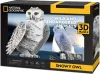 CubicFun 3D-s puzzle 32 db-os - National Geographic - Hóbagoly