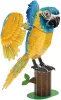 CubicFun 3D-s puzzle 94 db-os - National Geographic - Kéktorkú ara papagáj