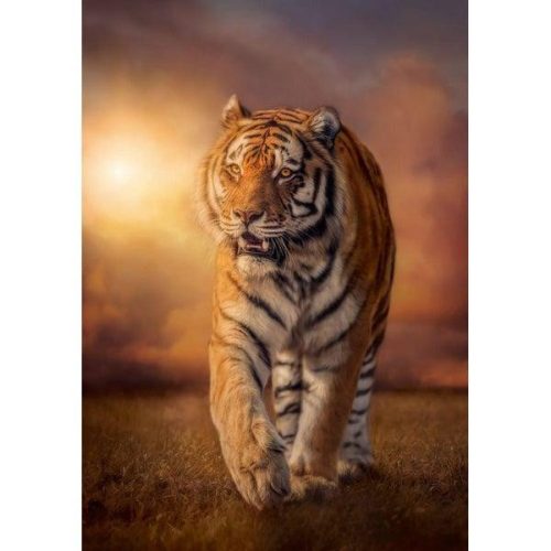 Tigris 1500 db-os puzzle - Clementoni