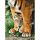Bengáli tigris az anyja lábánál 500 db-os puzzle - Clementoni