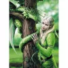 Anne Stokes Collection - Kindred Spirits 1000 db-os puzzle - Clementoni