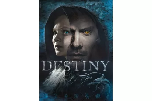 The Witcher - Vaják - Destiny 1000 db-os puzzle - Clemetoni