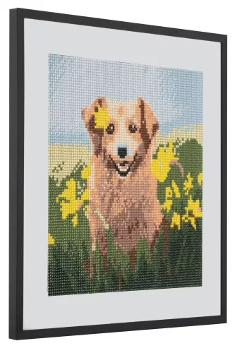 Gyémánt kirakó - Kutya virágok között vászonkép 30 x 30 cm-es