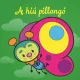 A hiú pillangó – Állati kalandok – Szivacskönyv