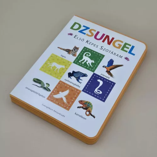 Dzsungel – Első képes szótáram