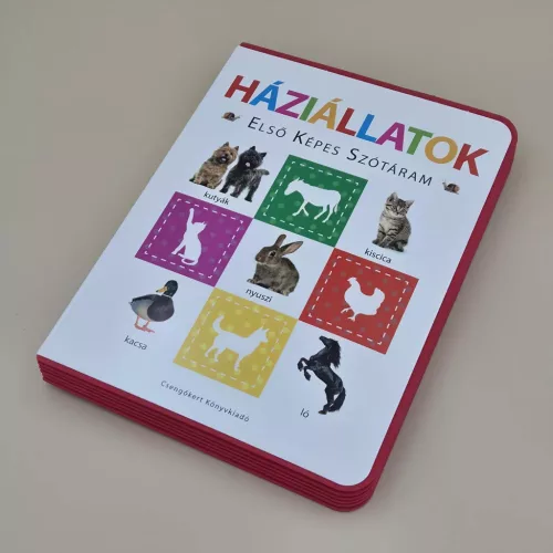 Háziállatok – Első képes szótáram