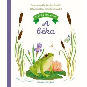 Ki lakik a kertemben? – A béka
