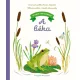 Ki lakik a kertemben? – A béka