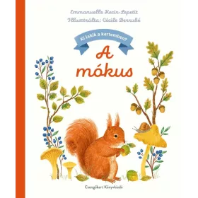 Ki lakik a kertemben? – A mókus