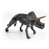 3D meglepetés dinoszaurusz csontváz