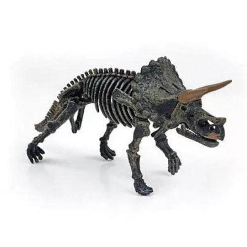 3D meglepetés dinoszaurusz csontváz