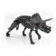 3D meglepetés dinoszaurusz csontváz