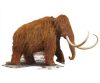 Wow 100 db-os junior puzzle - Gyapjas mamut