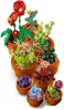 LEGO® Icons: 10329 Botanicals - Apró cserepes növények