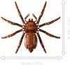 LEGO® Harry Potter: 76434 Aragog A Tiltott Rengetegben