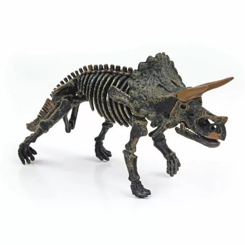 Dinoszaurusz csontváz ásatás szett - Magnoidz