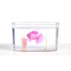 Little Live Pets - Úszkáló halacska akváriummal S3