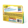 Crayola - Metálfényű filctoll készlet - 6 db-os