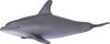 Mojo Delfin figura