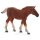 Mojo Suffolk Punch Foal figura