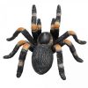 Mojo - Mexikói vöröstérdű tarantula figura