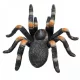 Mojo - Mexikói vöröstérdű tarantula figura
