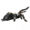 Mojo - Mexikói vöröstérdű tarantula figura