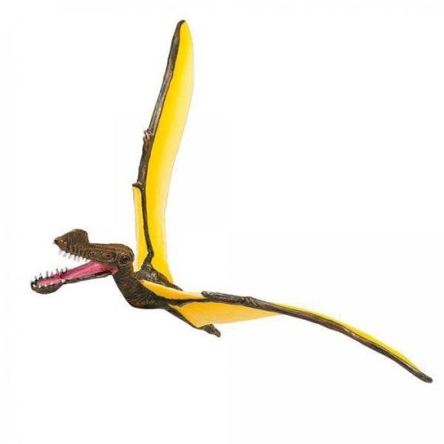 Mojo - Tropeognathus figura