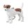 Mojo kulcstartó háziállatok - Jack Russer Terrier