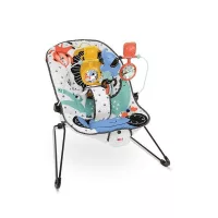 Fisher Price