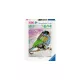 Ravensburger - Örvénylő madarak 1000 db-os puzzle 