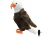 Wild Planet Plüss - Sas - 27 cm-es