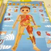Interaktív poszterek - Játékos angol nyelvtanulás - Az emberi test