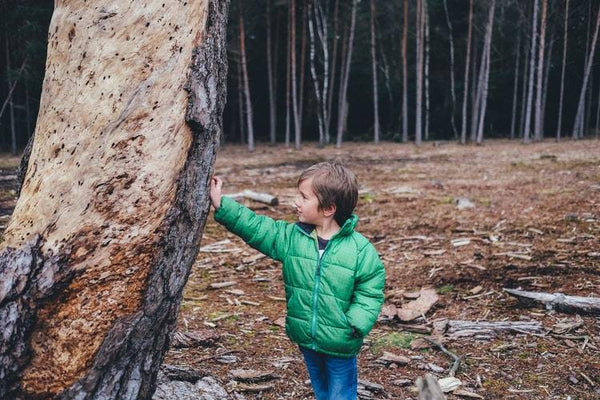 Zöld kalandozások: 7 tipp a papír játékos újrahasznosítására