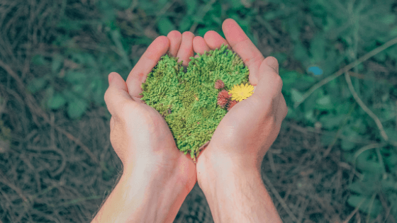 A környezettudatos nevelést nem lehet elég korán kezdeni! A Föld Napja – április 22.