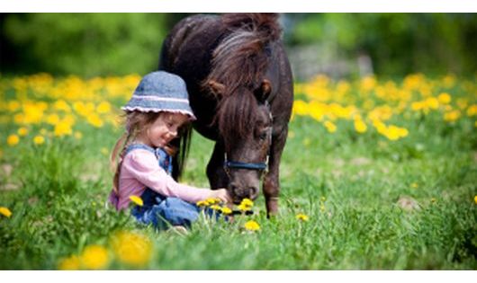 A lovak és a gyerekek varázslatos kapcsolata