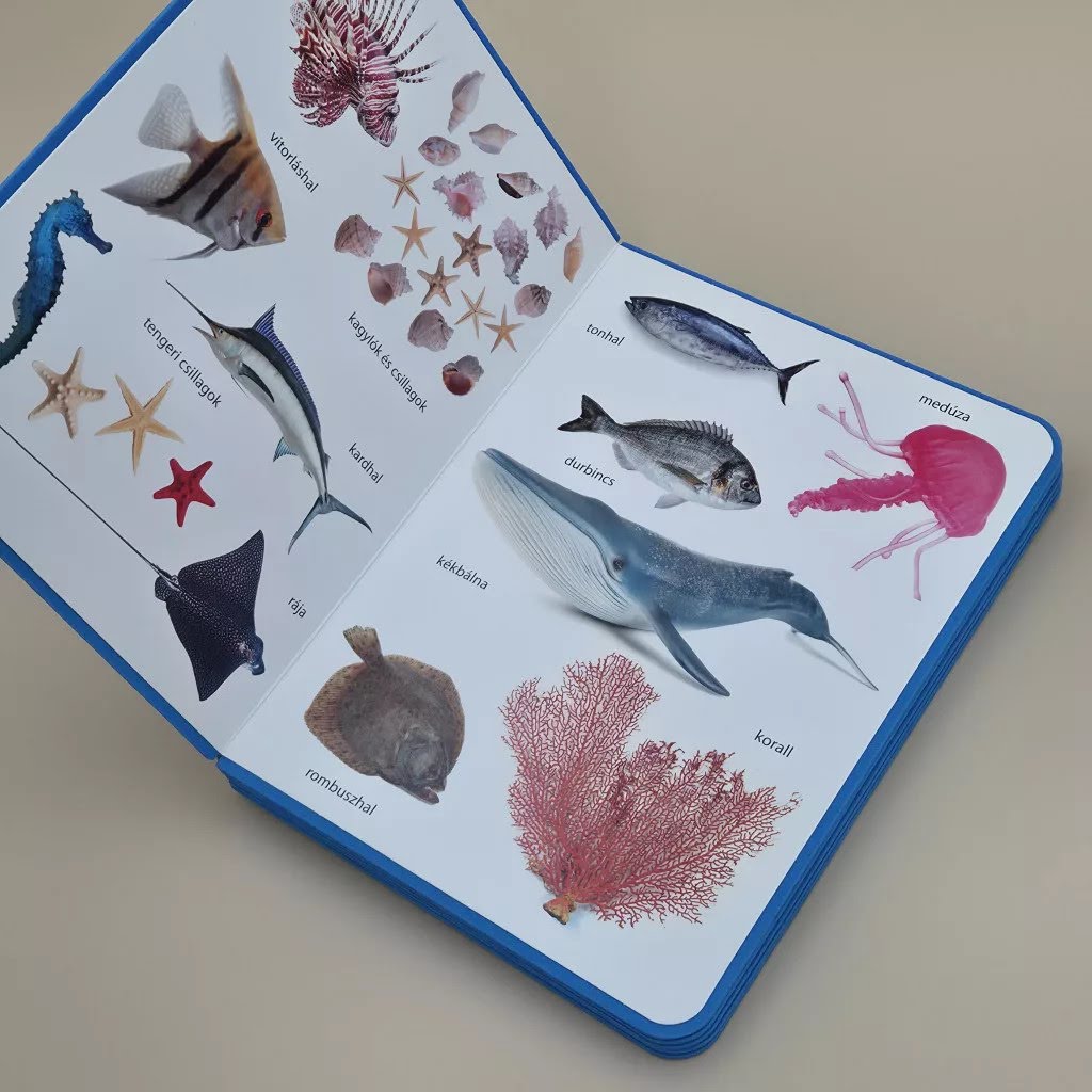 víz világnapja élelőnyek