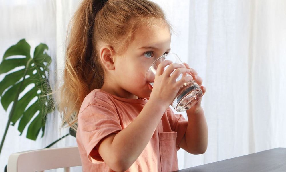 víz világnapja víz